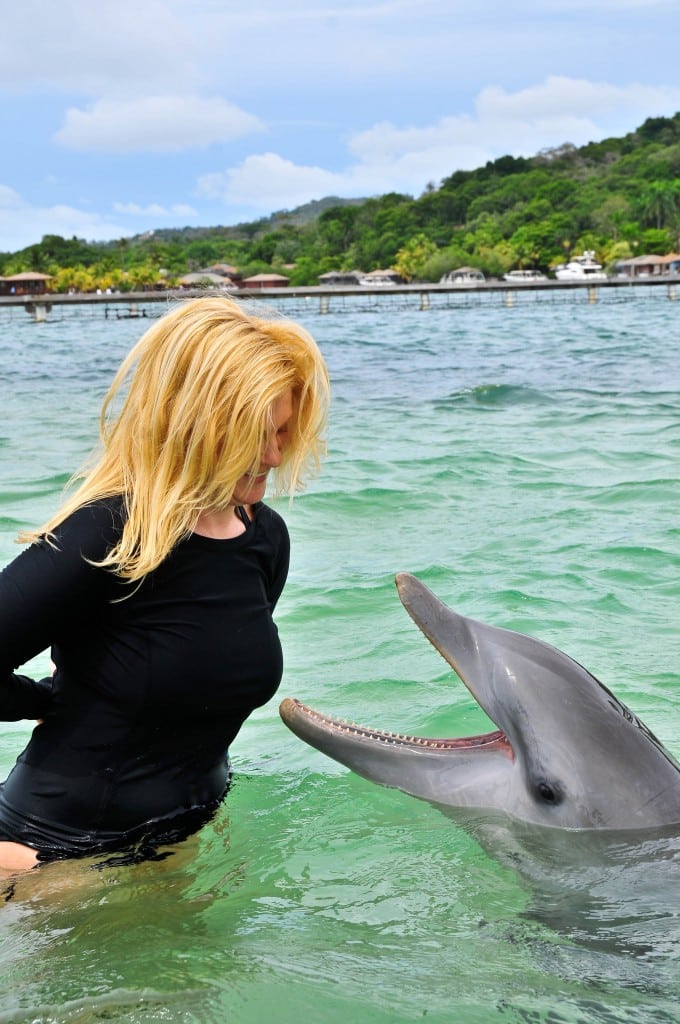 Dolphin encounter Anthony's Key Roatan Honduras