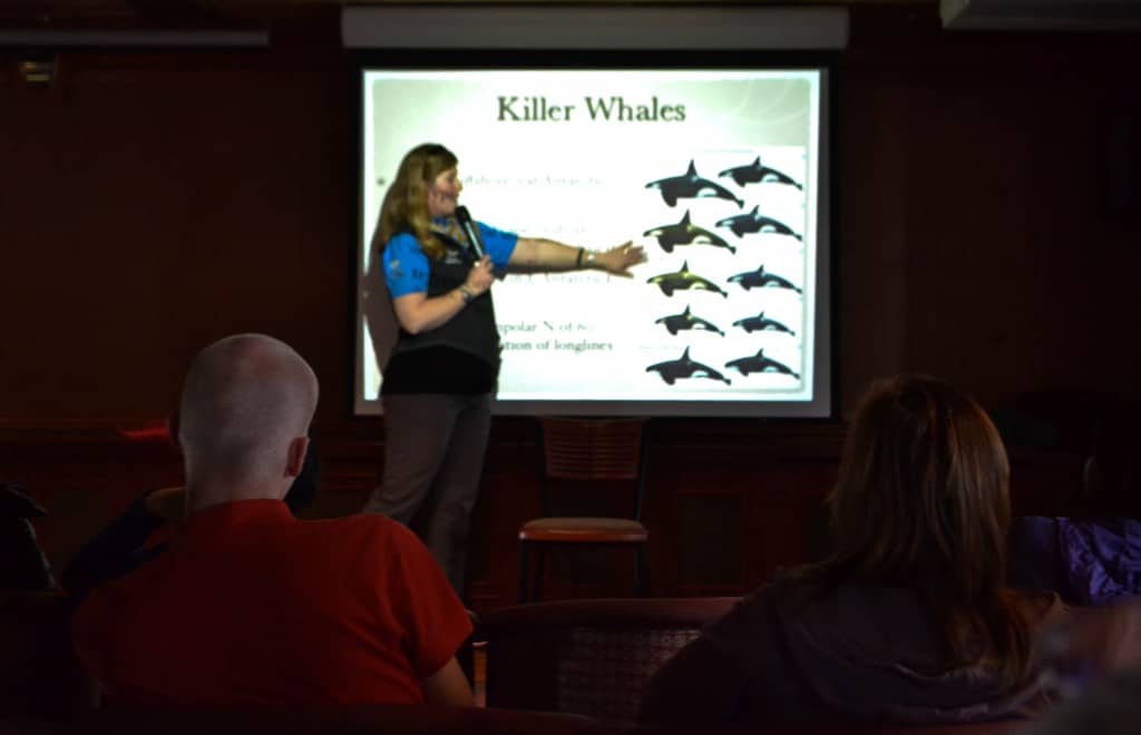 Whale lecture Sea Spirit Antarctica