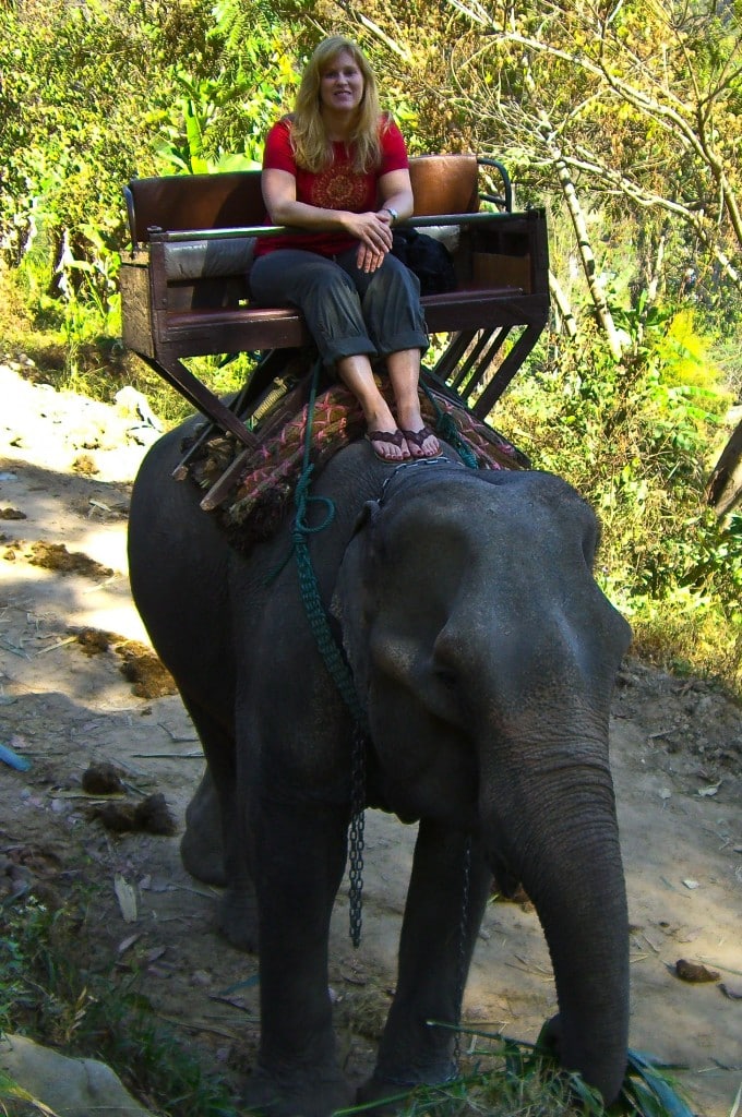 Elephant ride Chiang Mai Thailand