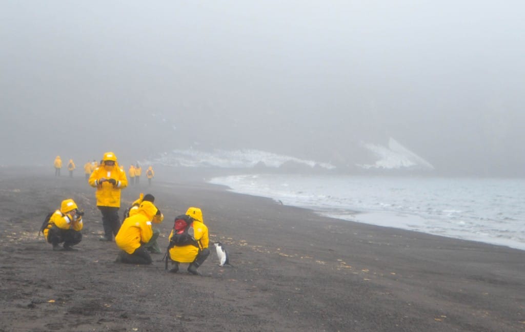 Deception Island South Shetlands Antarctica