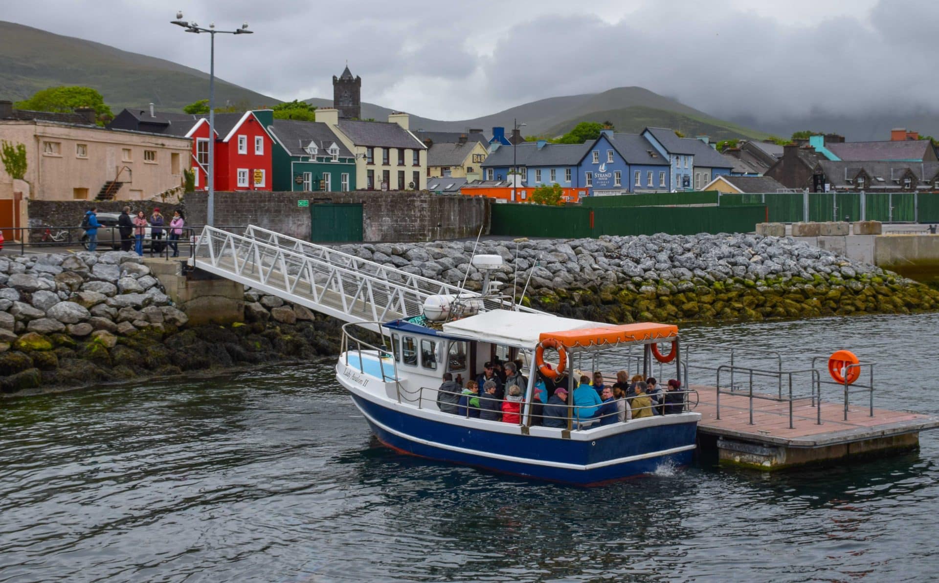 Dingle Dolphin Boat Trip Fungie