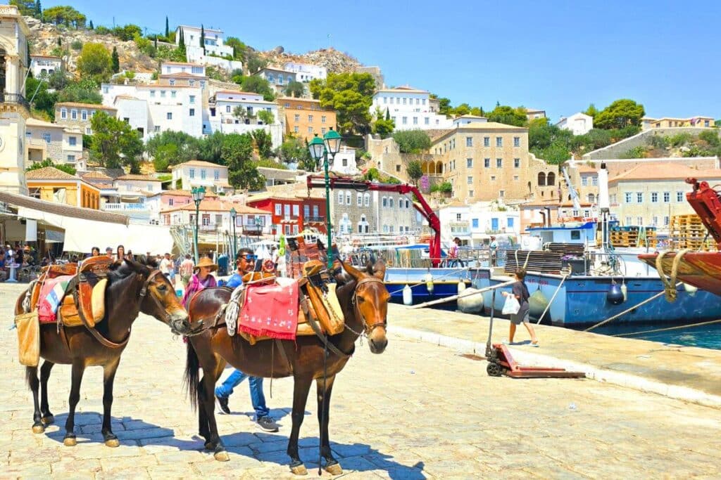 Donkeys in the Port Hydra Island Greece