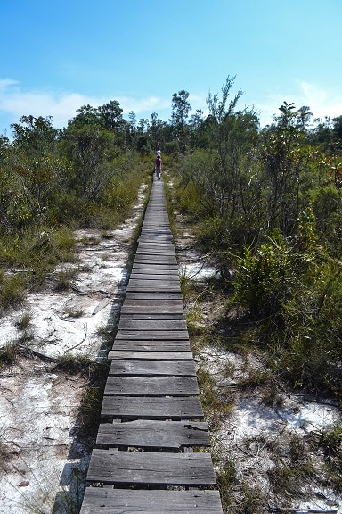Bako National Park Sarawak Borneo