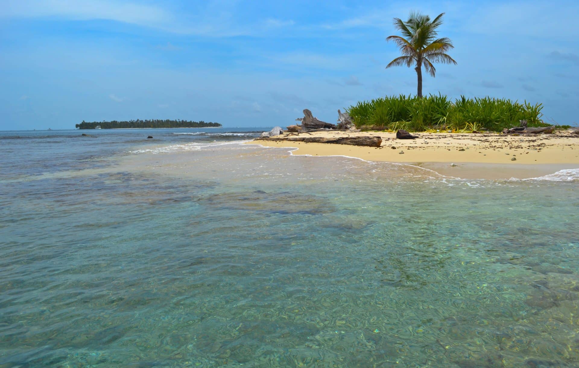 One Palm Island San Blas Panama