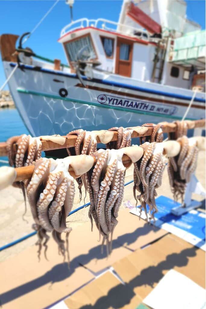 Squid drying in Naoussa Paros Greek Islands