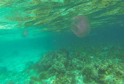 Liukang Loe Island Sulawesi Indonesia