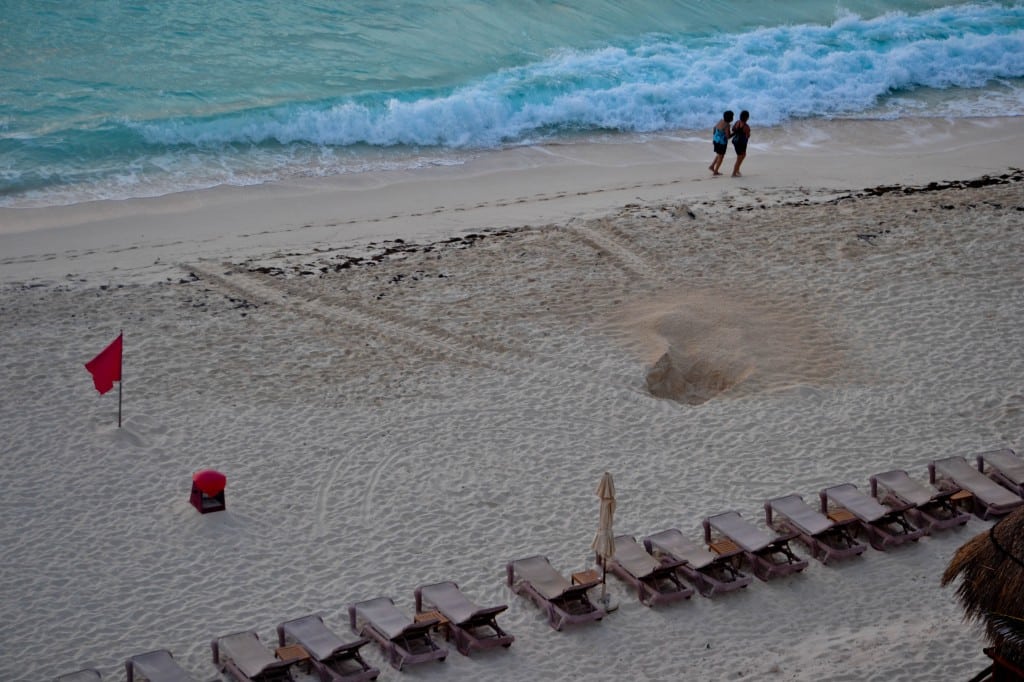 Sea turtle nest Cancun Mexico