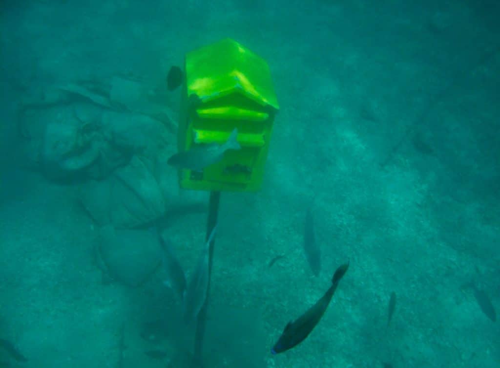 Vanuatu things to do underwater post office